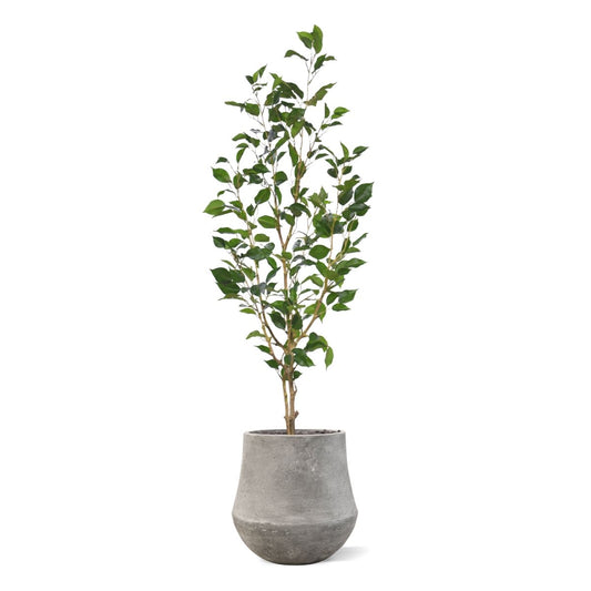 Ficus Exotica Kunstplant NT 120cm