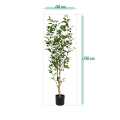Ficus Exotica Kunstplant NT 150cm