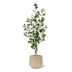 Ficus Triangularis Kunstplant 120cm