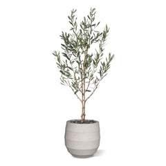 Olijf Kunstboom N 120cm