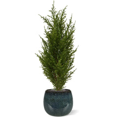 Kunst coniferentak voor buiten 56 cm met UV-bescherming