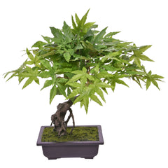Acer Kunst Bonsai 50cm groen