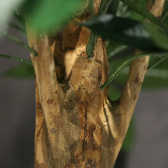 Pachira Kunstplant Deluxe 100cm