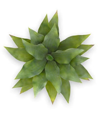Outdoor Art Agave plant 70 cm UV protected
