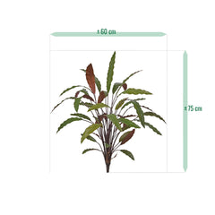 Calathea 75cm Kunstplant Groen/rood