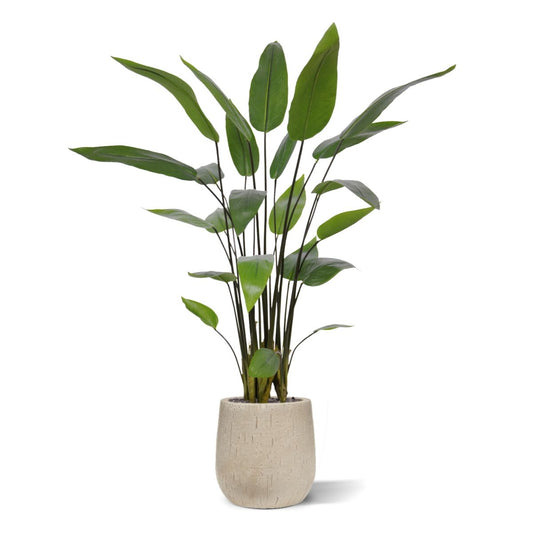 Water Canna Kunstplant 120cm