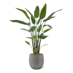 Water Canna Kunstplant 120cm