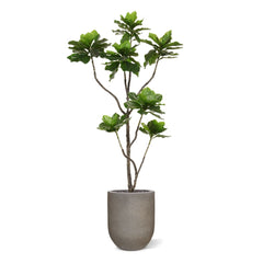 Heliotropium Kunstplant 155cm