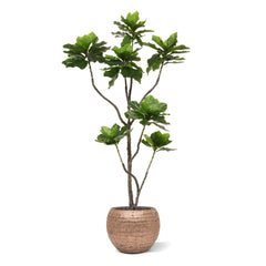 Heliotropium Kunstplant 155cm