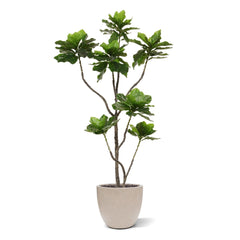 Heliotropium Kunstplant 155cm