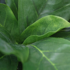 Heliotropium Kunstplant 155cm