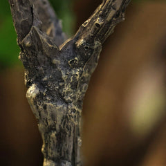 Heliotropium Kunstplant 155cm