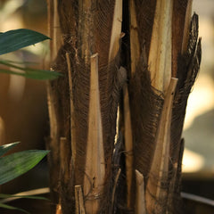 Fishtail Kunstpalm Deluxe XXL 300cm