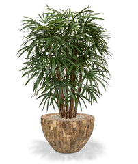Raphis kunstpalm XL deluxe 130cm