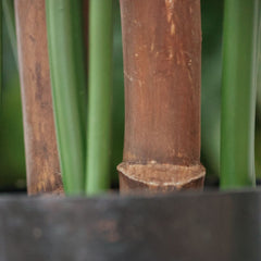 Spathiphyllum Kunstplant Deluxe 130cm