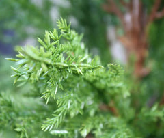 Kunst conifeer voor buiten 120 cm UV-bescherming