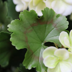 Kunst hanggeranium 65cm UV wit