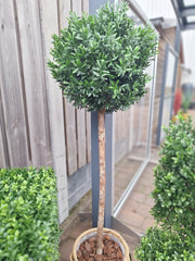 Kunst Buxusbol op stam voor buiten 140 cm UV beschermd