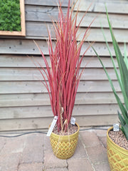 Kunst Siergras 100cm UV