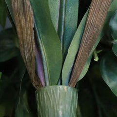 Asplenium Antiquum Kunstvaren 40cm