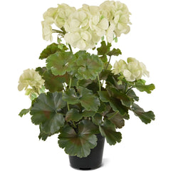 Geranium kunstboeket 38cm Wit UV