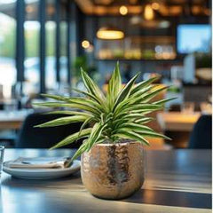 Draceana Kunstplant Bont 30cm