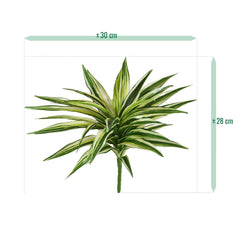 Draceana Kunstplant Bont 30cm