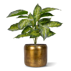 Aglaonema Kunstplant 40cm