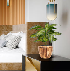 Aglaonema Kunstplant 40cm