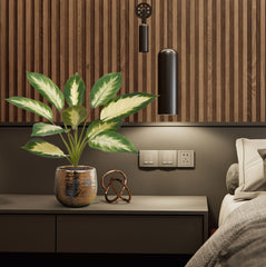 Dieffenbachia Camilla kunstplant 50cm