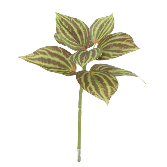 Peperomia Kunstplant groen/bruin 25cm