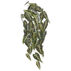 Alocasia Kunsthanger Frydek bont 60cm