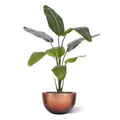 Strelitzia Nicolai kunstplant 120cm