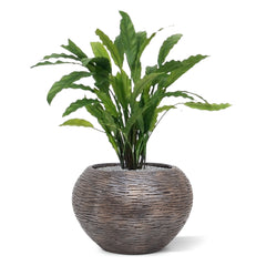 Calathea kunstplant 60cm - groen