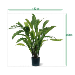 Calathea kunstplant 60cm - groen