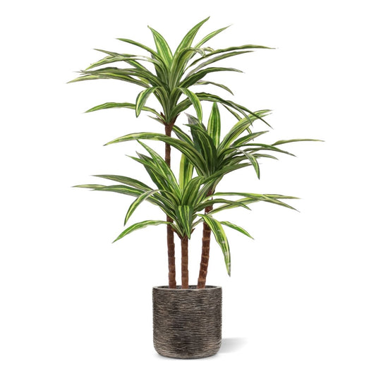 Draceana Massangeana kunstplant Deluxe 95cm