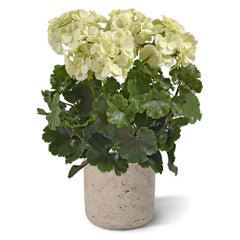 Kunst geranium XL wit uv-bestendig voor buiten