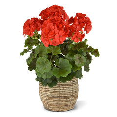 Kunst Geranium XL rood, uv-bestendig voor buiten