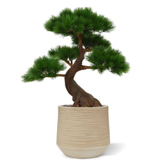 Kunst Bonsai Pinus boom 80 cm met 5 lagen UV-beschermd