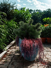 Kunst buitenhangplant Dischidia burgundy UV-bestendig