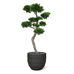 Luxe kunst Pinus Bonsai boom XL met UV-bescherming