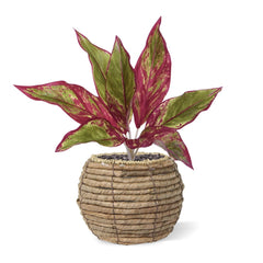Aglaonema Lipstick kunstplant 35cm