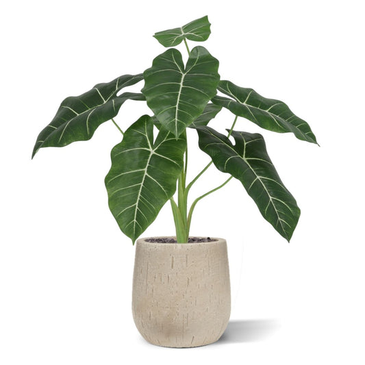 Alocasia Frydek Kunstplant 60cm Groen