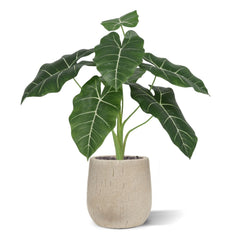 Alocasia Frydek Kunstplant 60cm Groen