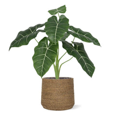 Alocasia Frydek Kunstplant 60cm Groen