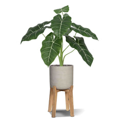 Alocasia Frydek Kunstplant 60cm Groen