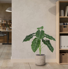 Alocasia Frydek Kunstplant 60cm Groen