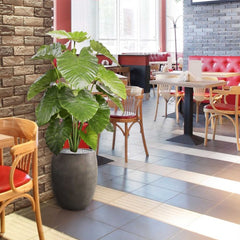 Alocasia Calidora kunstplant 115cm