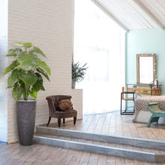 Alocasia Calidora kunstplant 115cm