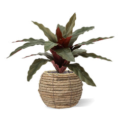 Calathea 30cm Kunstplant groen/rood